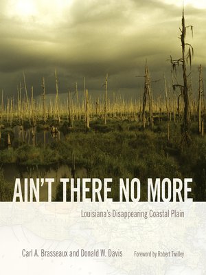 cover image of Ain't There No More